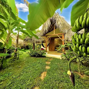 Casa Picaflor Bed and breakfast